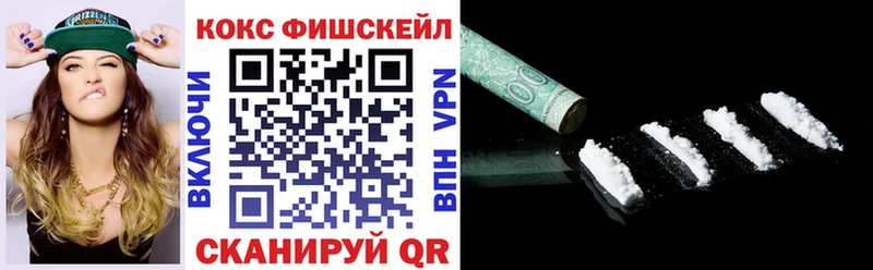 COCAIN Fish Scale  купить  цена  Лесосибирск 