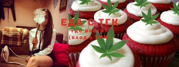 индика Армянск