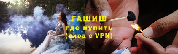 индика Арсеньев
