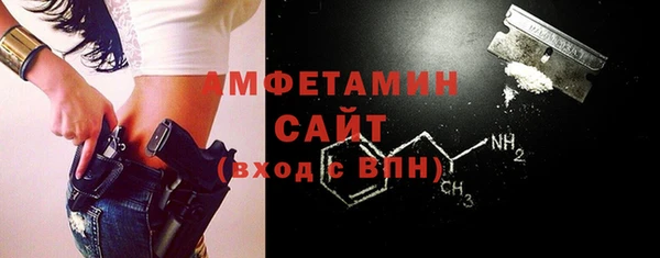 индика Арсеньев