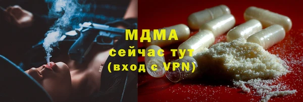 индика Арсеньев
