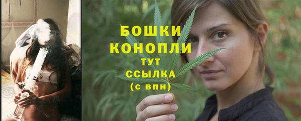 индика Арсеньев