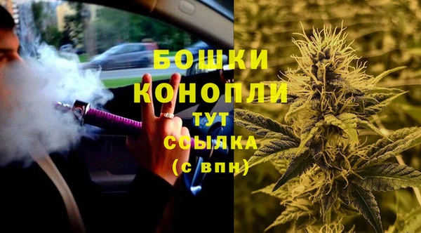 индика Армянск
