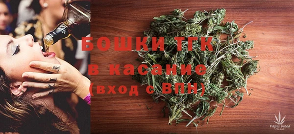 индика Армянск