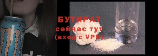 индика Арсеньев