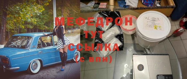 индика Арсеньев