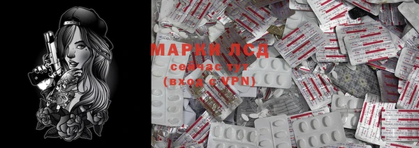 индика Армянск