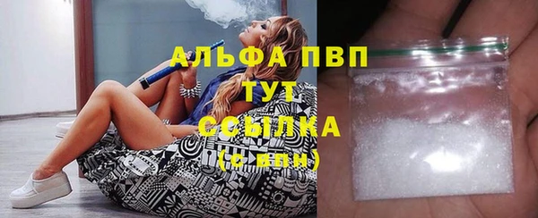 индика Армянск