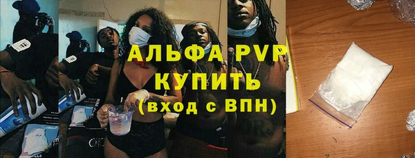 индика Арсеньев