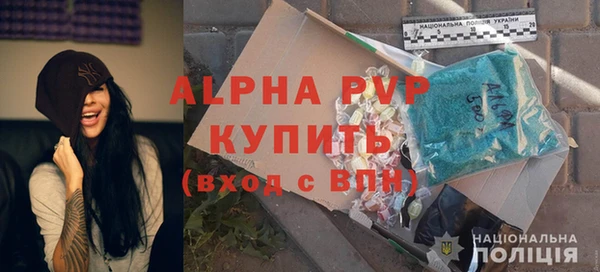 индика Армянск