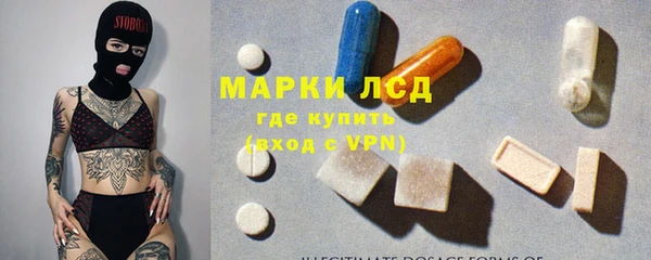 индика Арсеньев
