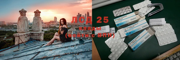 индика Армянск